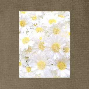Daisies Scrapbook Paper