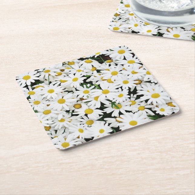 Daisies Square Paper Coaster (Angled)