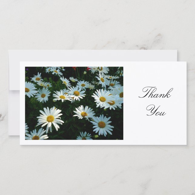 Daisies - Thank You (Front)