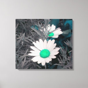 Daisies (w/Green) Wrapped Canvas