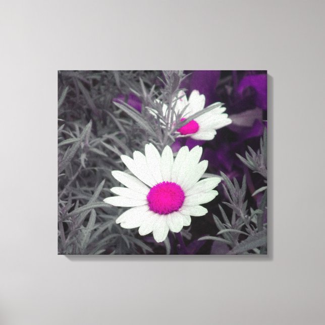Daisies (w/Pink) Wrapped Canvas (Front)