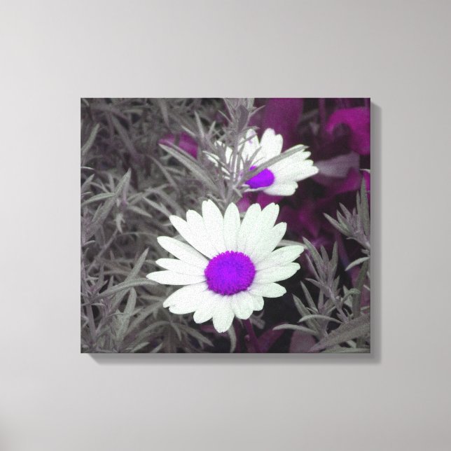 Daisies w/Purple Wrapped Canvas print (Front)
