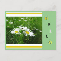 Daisies Wild Flowers Collage Cust. Hello Postcard