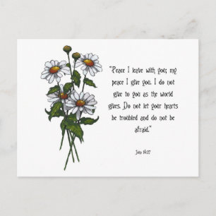 Daisies With Bible Verse: God's Peace Postcard