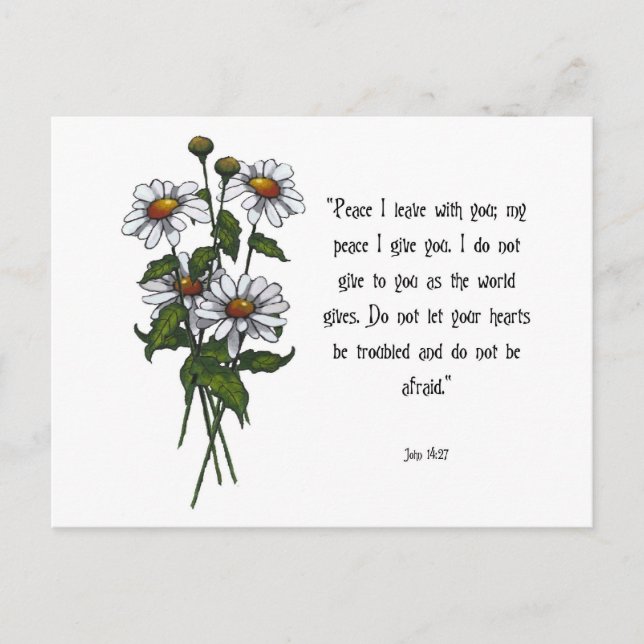 Daisies With Bible Verse: God's Peace Postcard (Front)