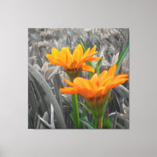 Daisies Wrapped Canvas