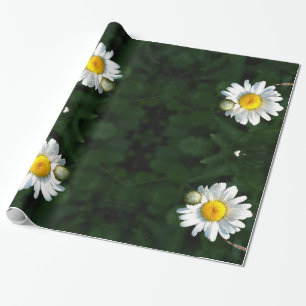 Daisies  Wrapping Paper