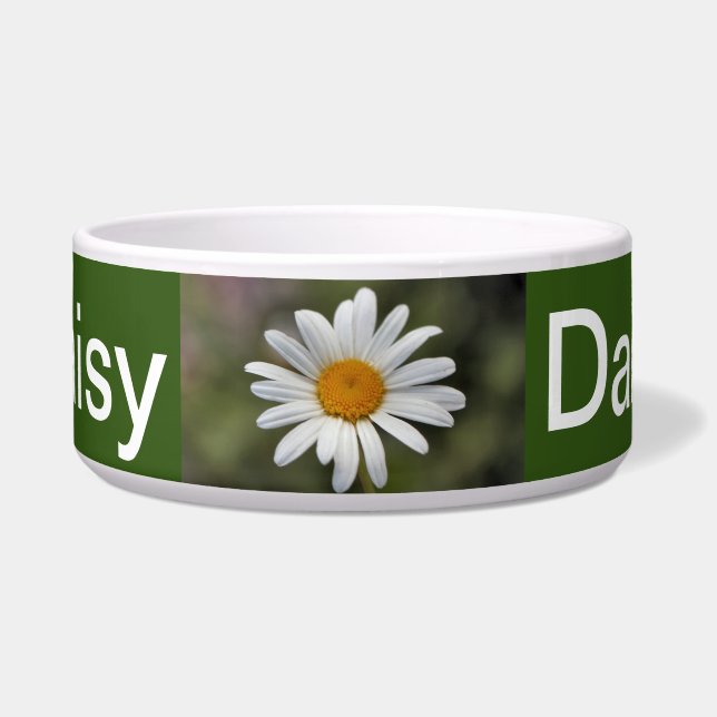 Daisy (Front)