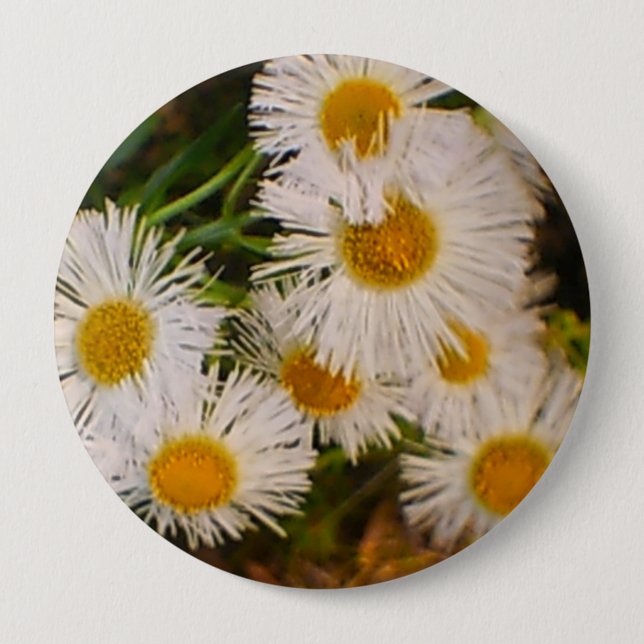 Daisy 10 Cm Round Badge (Front)