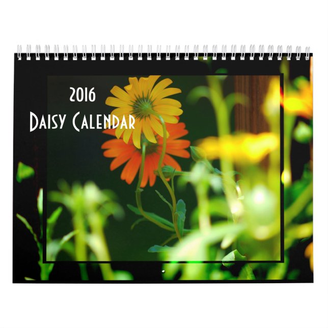Daisy- 2016 calendar (Cover)