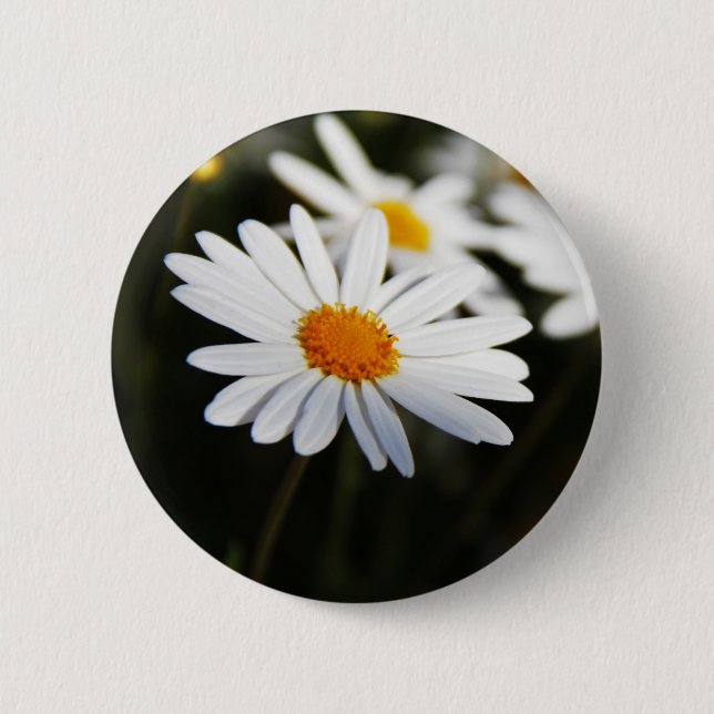 Daisy 6 Cm Round Badge (Front)