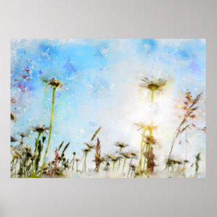 Daisy -     - Acrylic Print