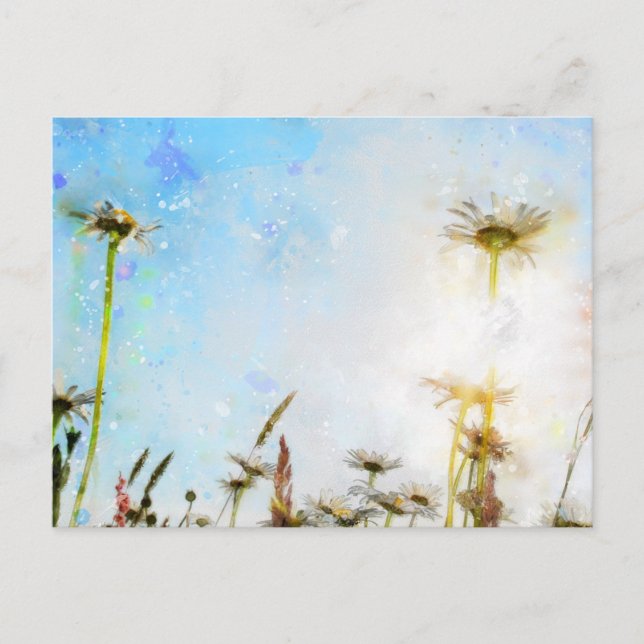 Daisy  -     - Acrylic Print Postcard (Front)
