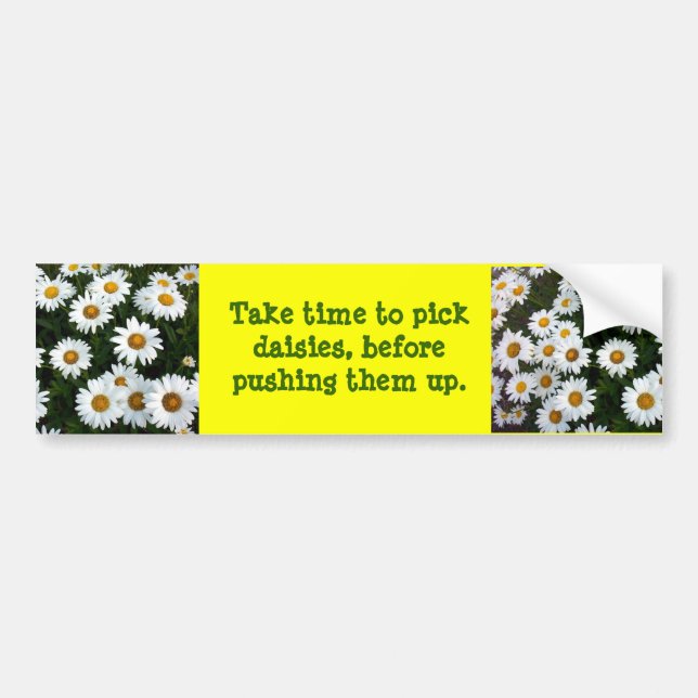 Daisy advice Bumper Sticker (Front)