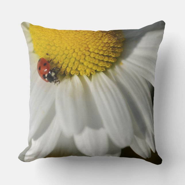 Daisy And A Ladybug Cushion (Front)