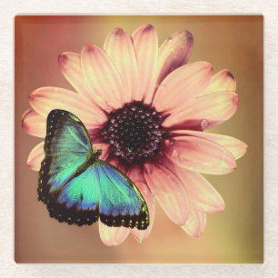 Daisy and Butterfly Glass Coaster