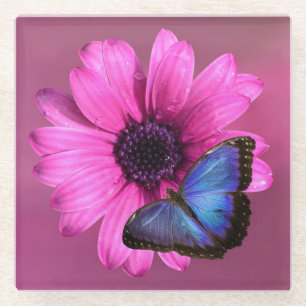 Daisy and Butterfly Glass Coaster