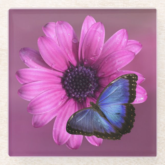 Daisy and Butterfly Glass Coaster (Front)