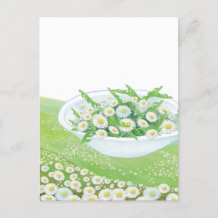 Daisy and Dandelion Spring Salad  Illustration   Holiday Postcard