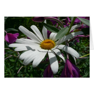 Daisy and Fireweed Wildflower