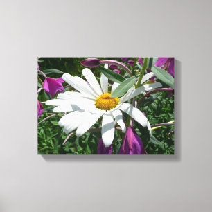 Daisy and Fireweed Wildflower Canvas Print