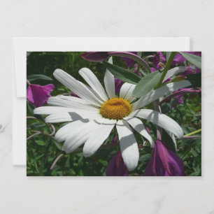 Daisy and Fireweed Wildflower Card
