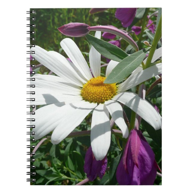 Daisy and Fireweed Wildflower Spiral Notebook (Front)