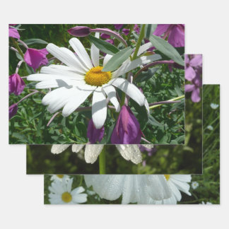Daisy and Fireweed Wildflower Wrapping Paper Sheet