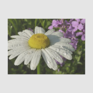 Daisy and Summer Lilac Botanical Tissue Paper