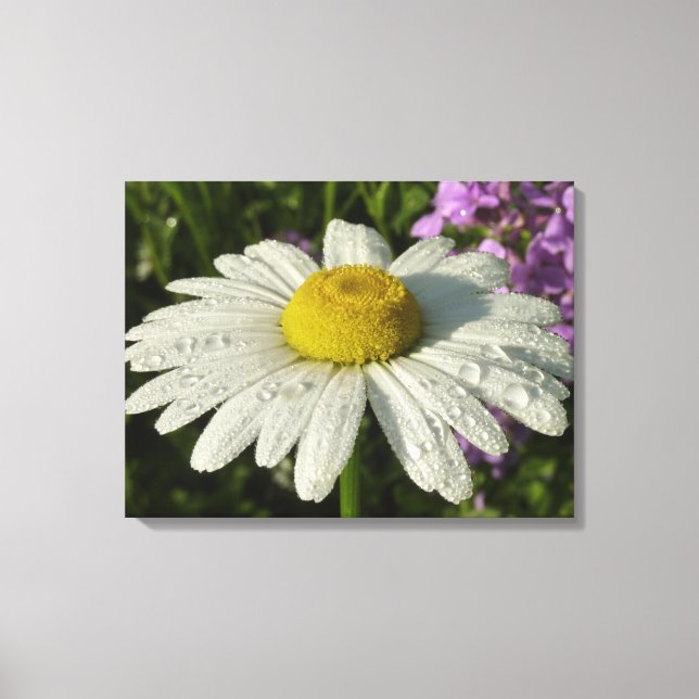 Daisy and Summer Lilac Wildflower Canvas Print (Front)