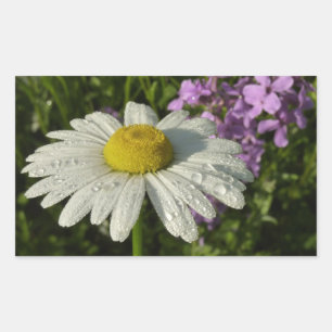 Daisy and Summer Lilac Wildflower Rectangular Sticker