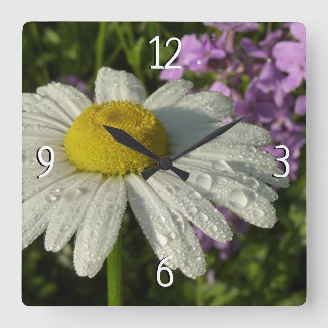 Daisy and Summer Lilac Wildflower Square Wall Clock (Front)