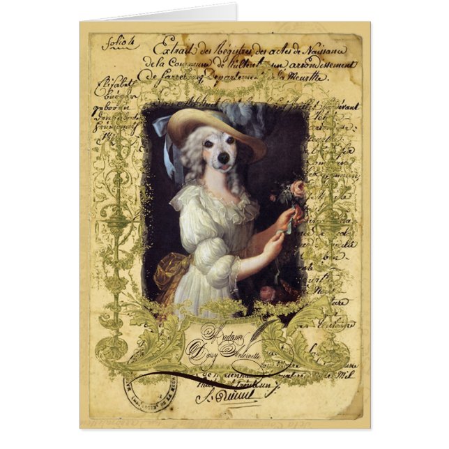 Daisy Antoinette (Front)