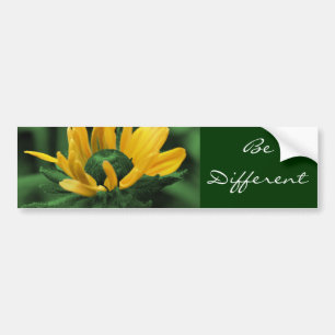 Daisy Be Different Motivational Bumper Sticker