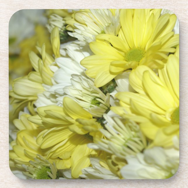 Daisy Bouquets Coaster (Front)