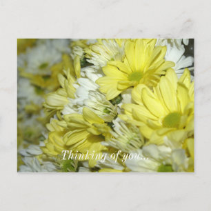 Daisy Bouquets Thinking Of You Postcard