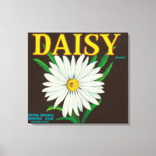 Daisy Brand Citrus Crate Label Canvas Print