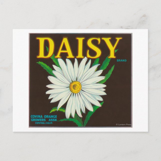 Daisy Brand Citrus Crate Label Postcard (Front)