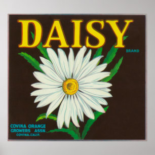 Daisy Brand Citrus Crate Label Poster