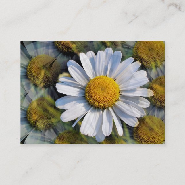 DAISY BUSINESS CARD (Front)