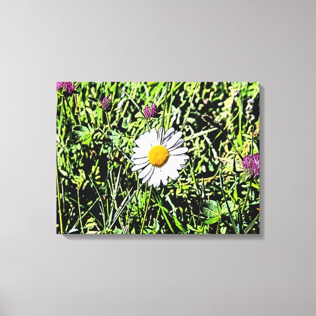 Daisy Canvas Print (Front)