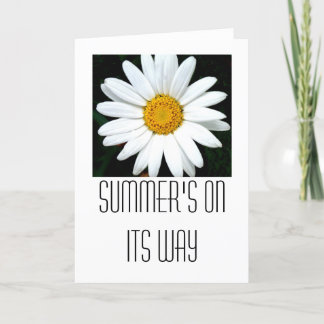 Daisy Card