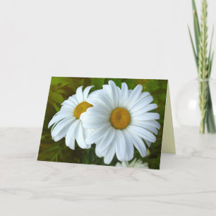 Daisy Card Wild Flowers Custom Greeting Cards