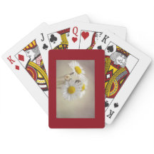 Daisy Cards