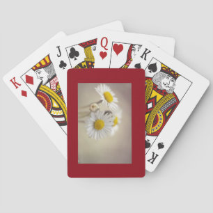 Daisy Cards