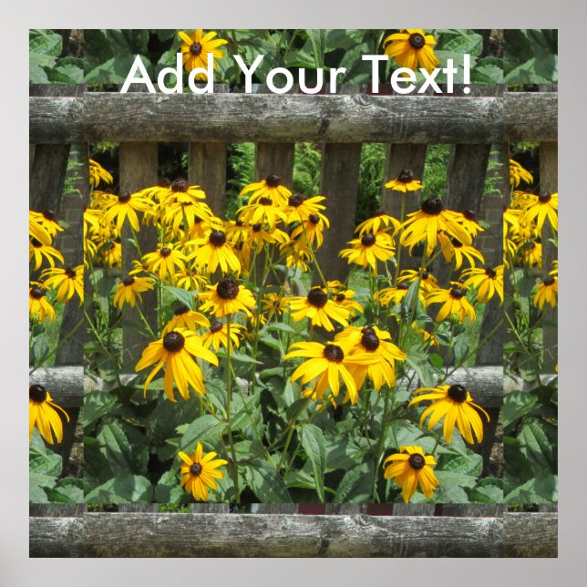 Daisy Cluster Weathered Fence Poster (Front)