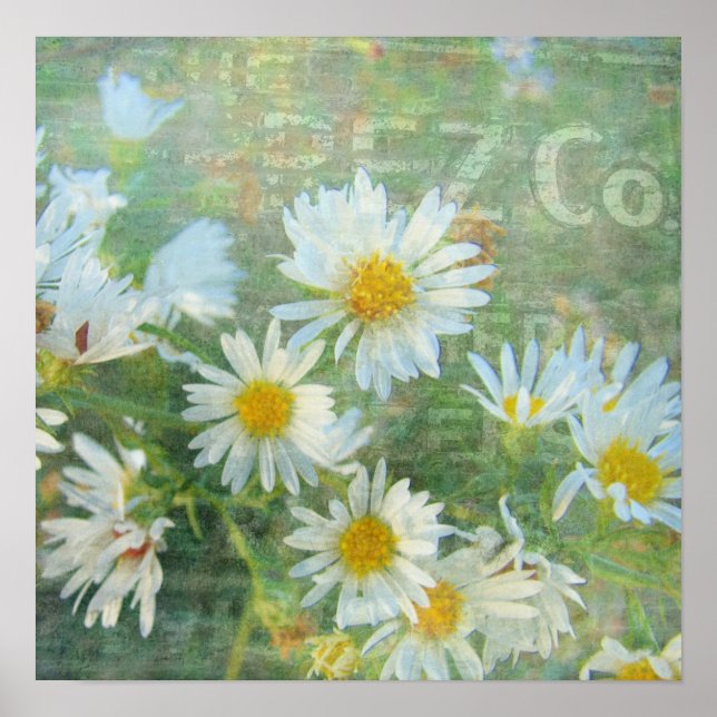 Daisy Co. Digital Art, Grunge Poster (Front)