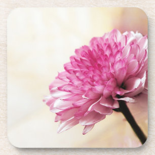 Daisy Coaster