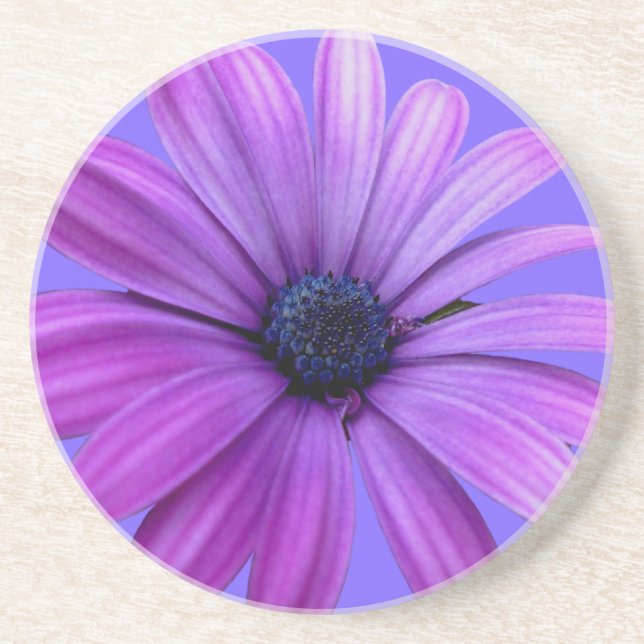 Daisy Coasters Wildflower Purple Daisy Decor (Front)