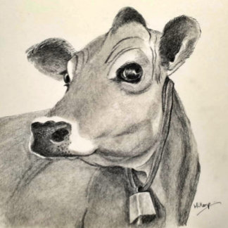 Daisy Cow greetings card